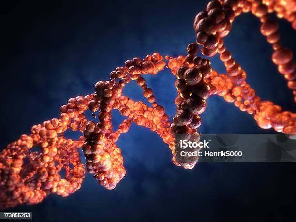 Dna Espiral Foto de stock y más banco de imágenes de ADN - ADN, Explotación, Abstracto