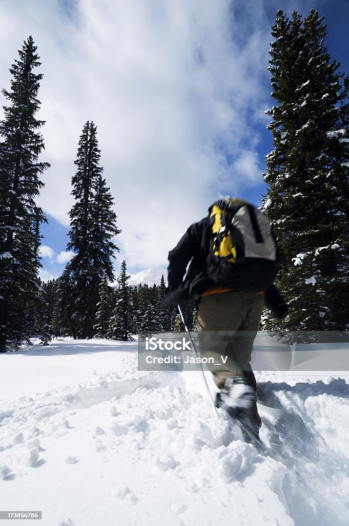 Homem de caminhadas com raquetes de neve - Foto de stock de Adulto royalty-free