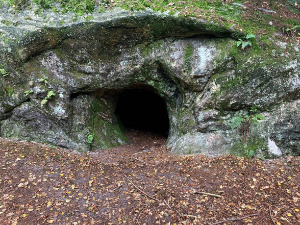 istock The cave in the wild forest 1738584772