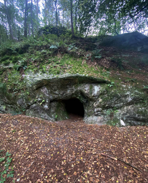 istock The cave in the wild forest 1738593161