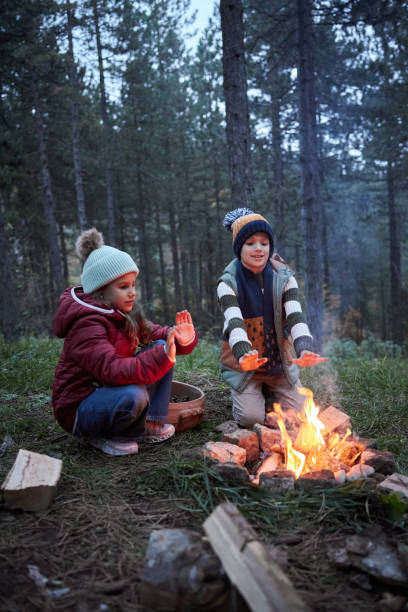 istock Memorable moments near campfire 1738595494