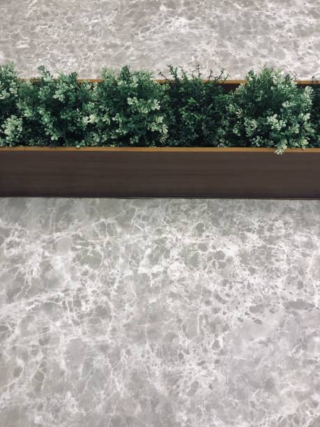 istock Green plant decor on marble textured 1738596597