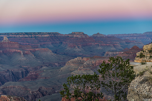 The Grand Canyon is a mesmerizing sight at sunset, where the vibrant, colorful sky meets a blurred yet enchanting foreground filled with lush, diverse vegetation.