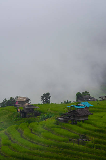 istock Pa Bong Piang rice terraces 1738600442