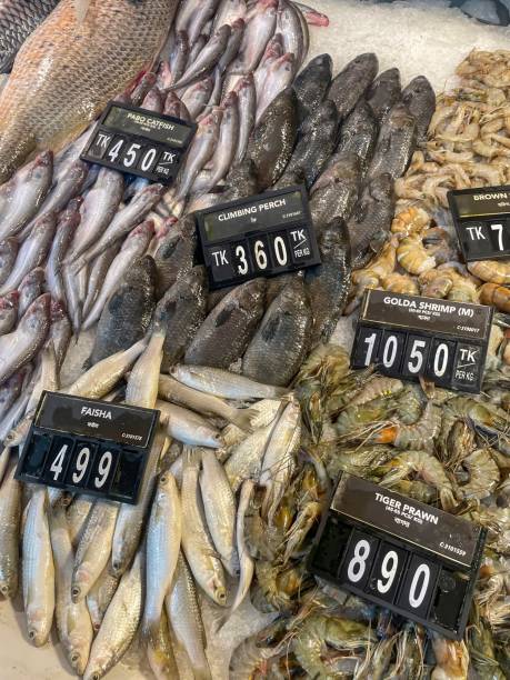 exposición de pescado fresco en un supermercado - 5415 fotografías e imágenes de stock