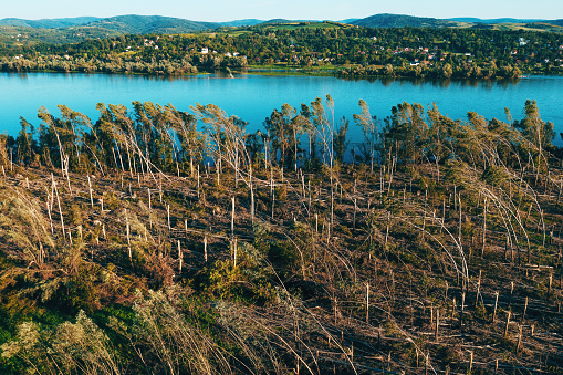 Aerial shot of devastated forest landscape after supercell storm in summer, drone pov shot of environmental damage scenery from above