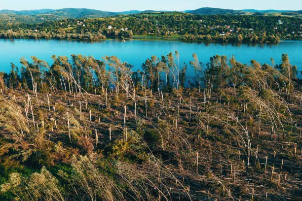 Aerial shot of devastated forest landscape after supercell storm in summer, drone pov shot of environmental damage scenery from above