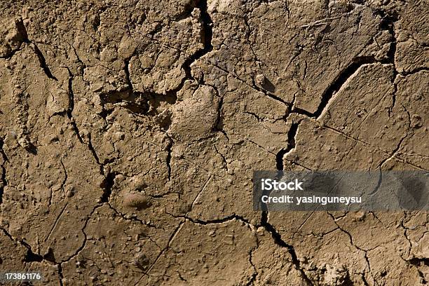 Cracked Dirt Background Stock Photo - Download Image Now - Abstract, Agriculture, Arid Climate