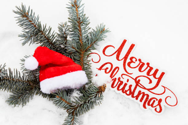 istock fir tree pine cone branch on snow with small santa claus hat cap 1738616110
