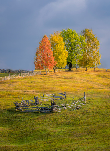 Autumn landscape with colorful trees and wooden fence on the meadow.