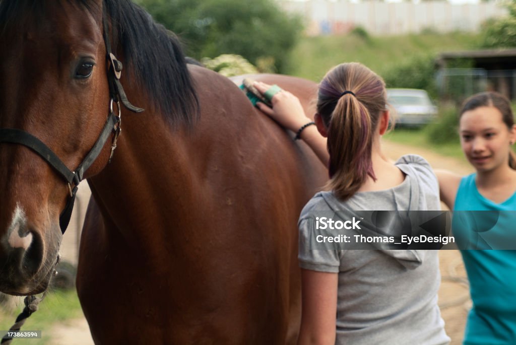 Ragazze adolescenti a cavallo e stabile - Foto stock royalty-free di 14-15 anni