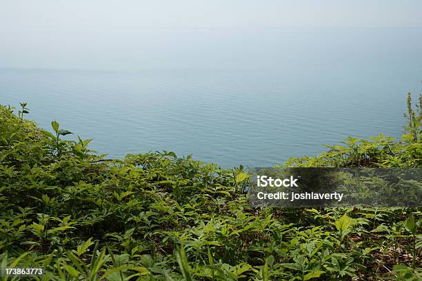 Mit Blick Auf Stockfoto und mehr Bilder von Aussicht genießen - Aussicht genießen, Bildhintergrund, Blatt - Pflanzenbestandteile