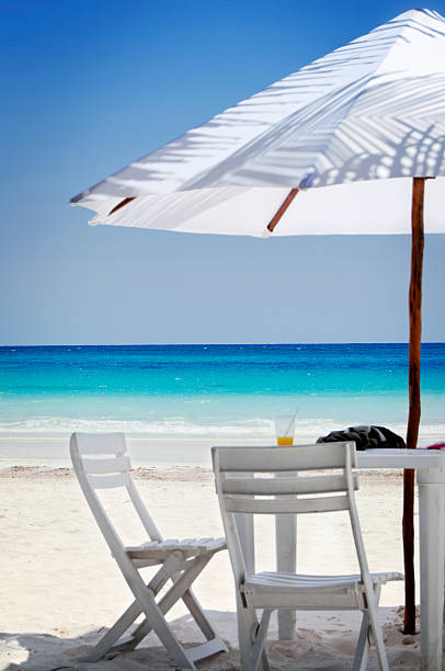 istock Turquoise sea and white palapa 173863829