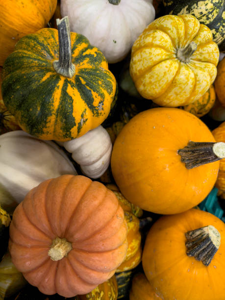 istock Gourds of different colors 1738638652