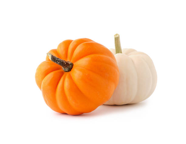 istock Two fresh orange and white colored Autumn pumpkins isolated on white background. 1738639892