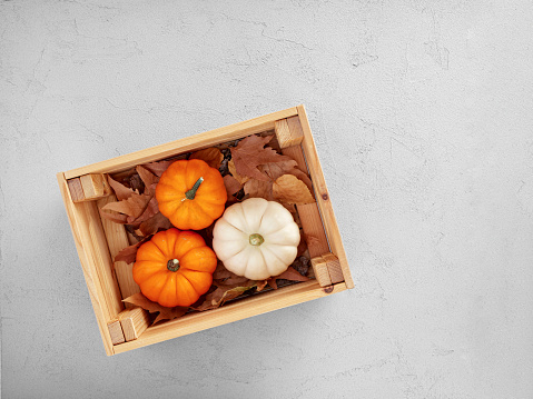 Autumn pumpkins in a wooden crate over autumn leaves on gray textured background with copy space. Top view.