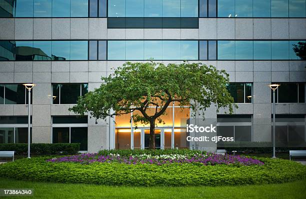 Tree Outside Office Building Stock Photo - Download Image Now - Landscaped, Office, Corporate Business