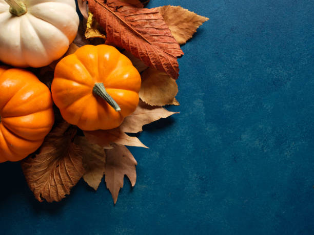 istock Autumn pumpkins and autumn leaves on blue textured background with copy space for text. 1738647963
