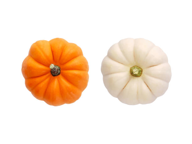 istock Two fresh orange and white colored Autumn pumpkins isolated on white background 1738649092