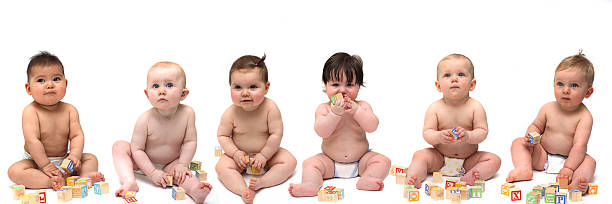 Six babies sitting in a row stock photo