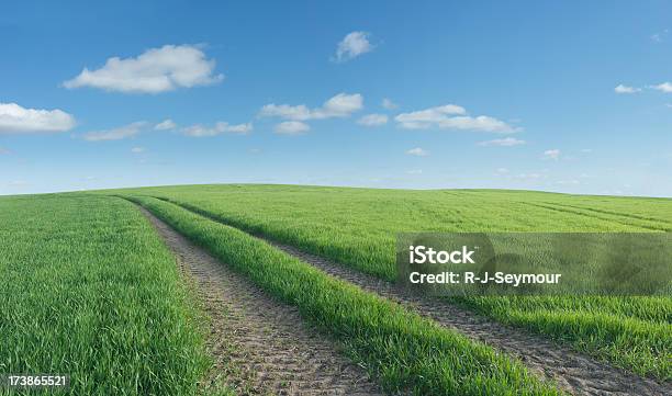 Landschaft Panorama Buchen Damit Ist Für Ausreichend Stockfoto und mehr Bilder von Reifenspur