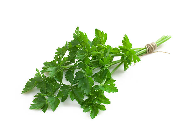 Parsley Parsley parsley stock pictures, royalty-free photos & images
