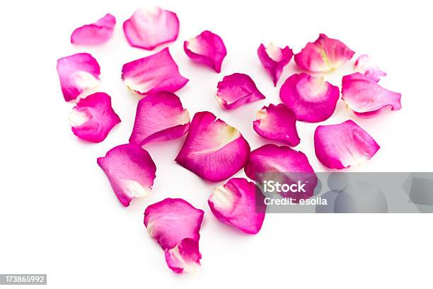 핑크 꽃잎 심장 0명에 대한 스톡 사진 및 기타 이미지 - 0명, 꽃잎, 분홍