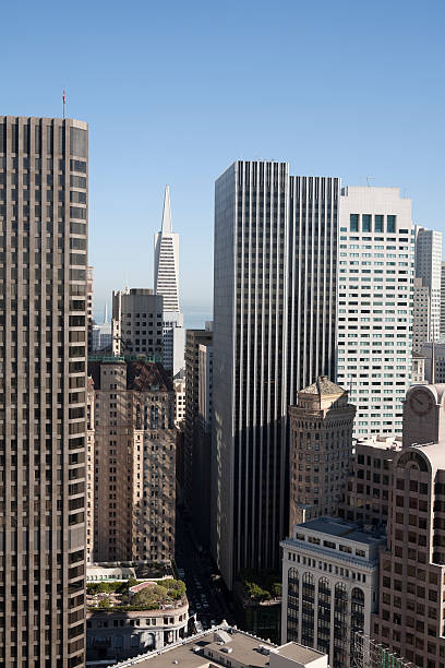 istock San Francisco Buildings and Skyline 173866078
