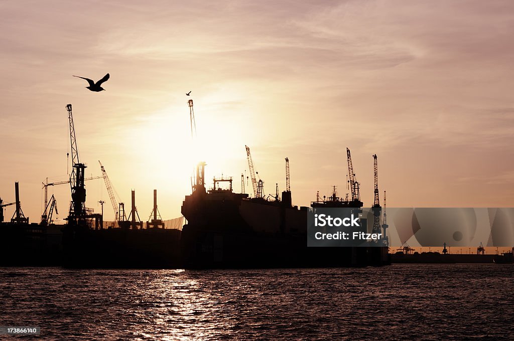 Buque de carga en el puerto de transbordadores. - Foto de stock de Gaviota libre de derechos