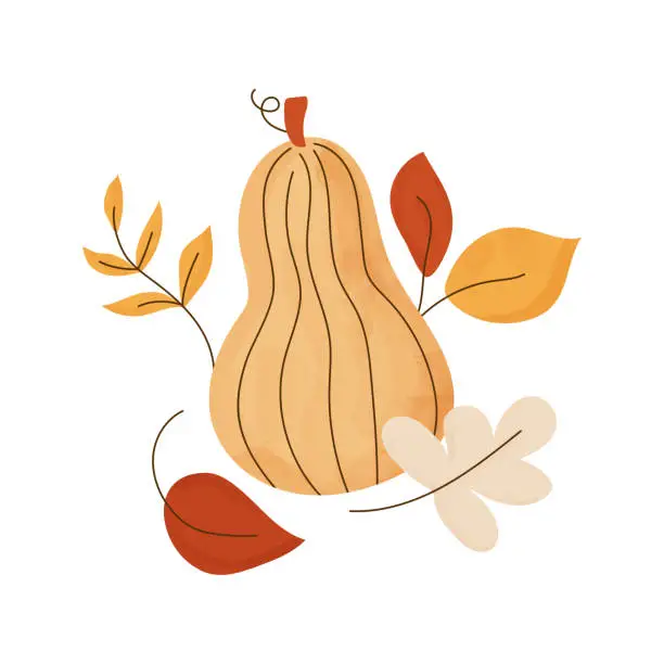 Vector illustration of Butternut squash and multicolor fall leaves composition