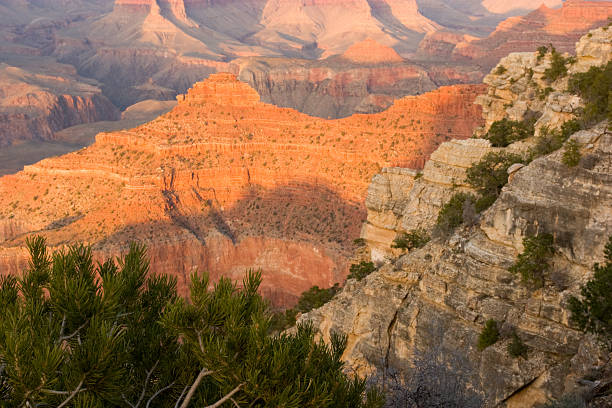 istock Grand Canyon South Rim 173866341