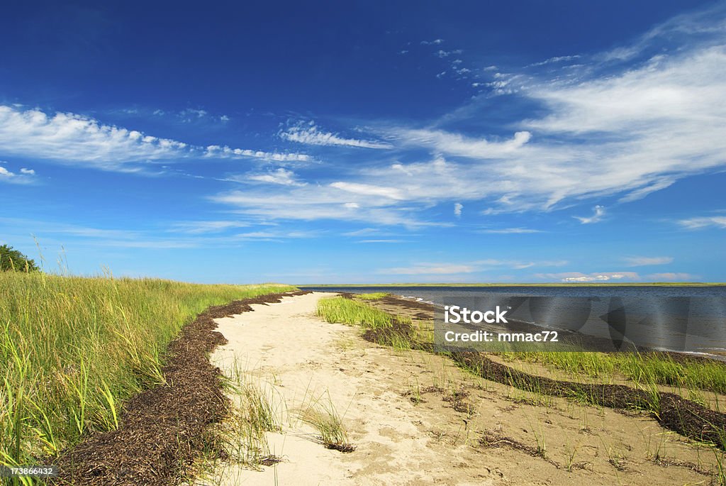 Sommer-Landschaft - Lizenzfrei New Brunswick - Kanada Stock-Foto