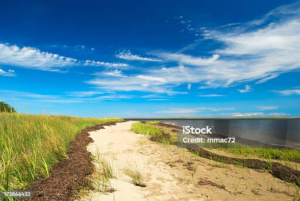 Paisagem De Verão - Fotografias de stock e mais imagens de New Brunswick - Canadá - New Brunswick - Canadá, Praia, Litoral