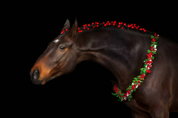 istock Horse in a christmas wreath on black background 1738665014