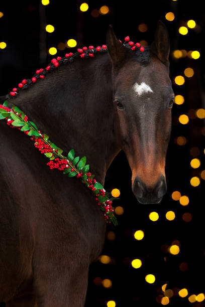 istock Horse in a christmas wreath on black background 1738665016