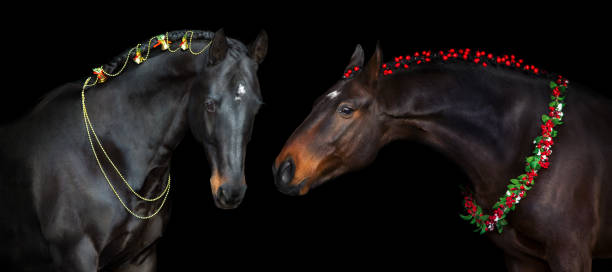 istock Horses in a christmas wreath on black background 1738665020