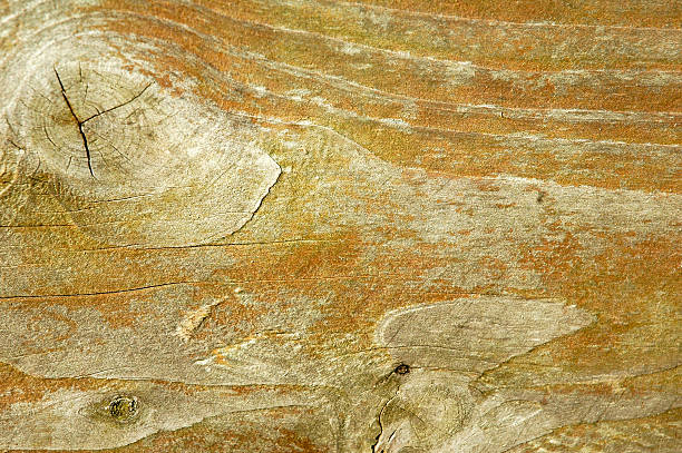 Wood Texture stock photo
