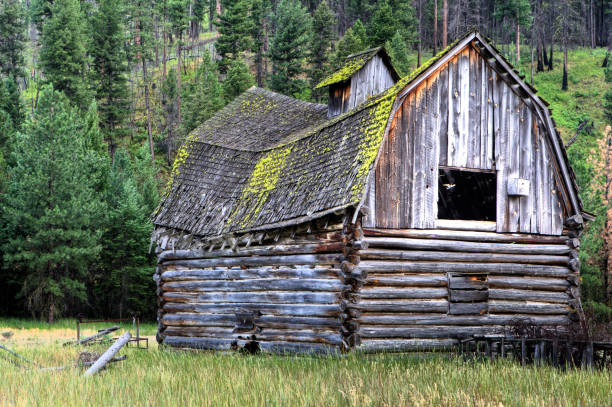 istock Barn in Disrepair 173867158