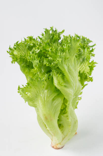 istock Fresh lettuce, green leaves, salad vegetables 1738672014