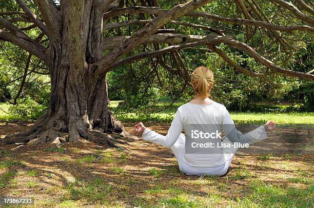 La Meditazione - Fotografie stock e altre immagini di Abbigliamento casual - Abbigliamento casual, Adulto, Albero