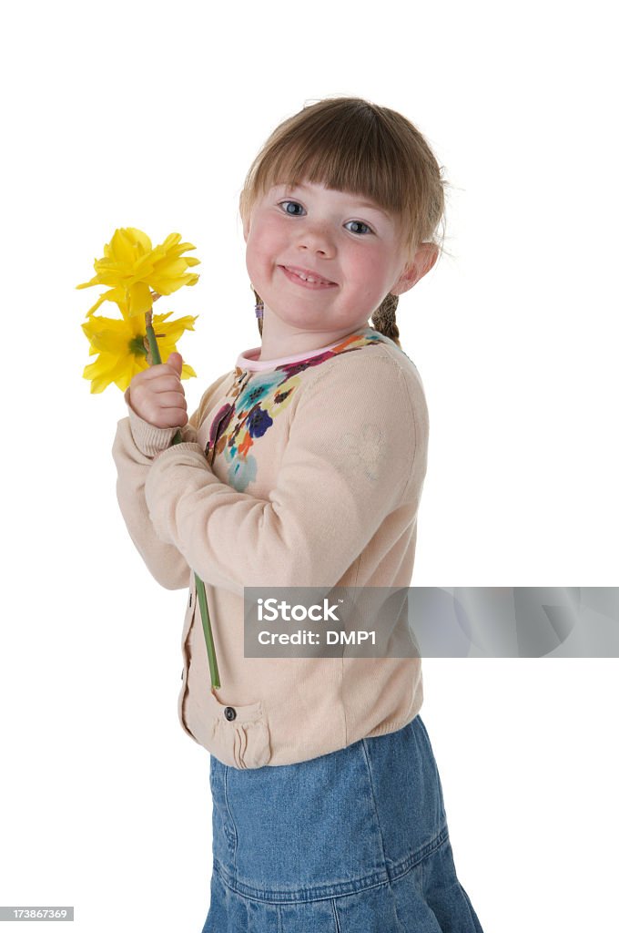 Lächeln kleine Mädchen holding Haufen Narzissen auf weißem Hintergrund - Lizenzfrei 4-5 Jahre Stock-Foto