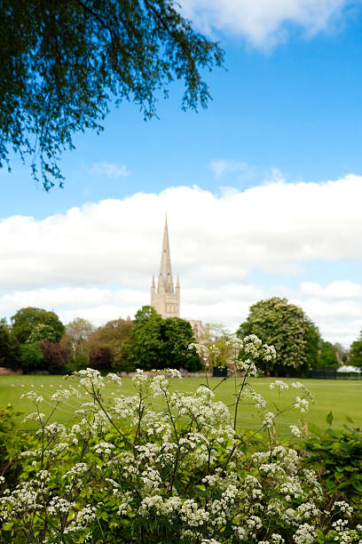 istock Norwich Cathedral and cow parsley 173867568