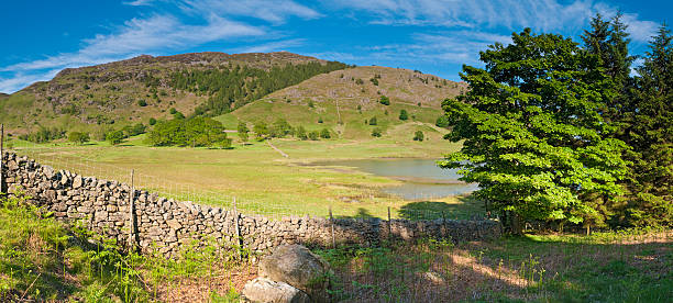 istock Lake District pastoral panorama dry stone wall 173867935