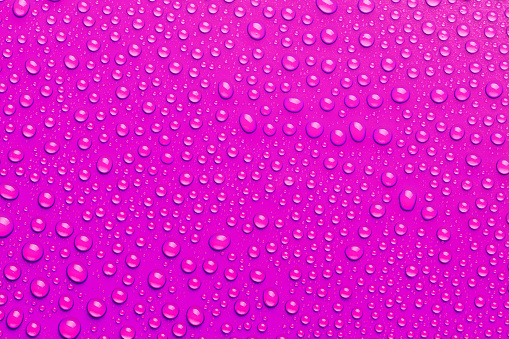 Nicel magenta water drops background, top view, macro