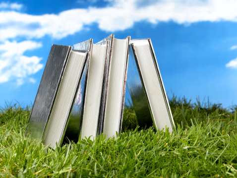 group of books standing on grass