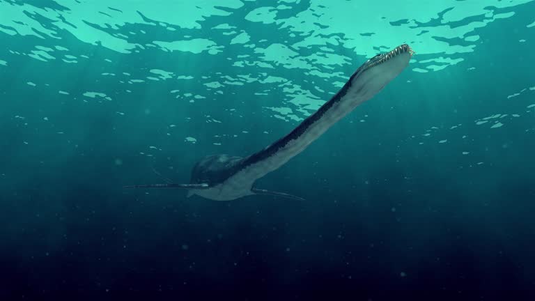 plesiosaur