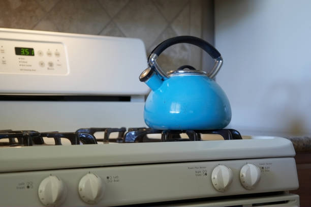 istock Steam kettle on the hob 173868482