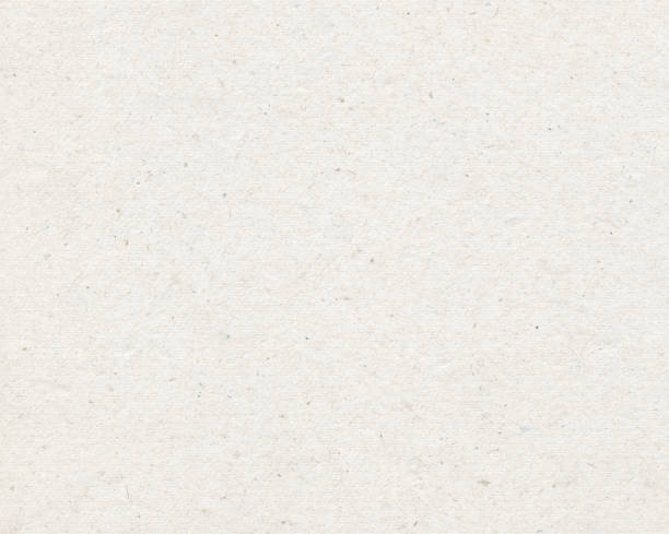 Light beige recycled paper texture in vector - amazing 100% natural surface with visible small dirties, imperfections and delicate horizontal lines traces of the press - original background design Recycled  paper in vector.
Beautiful natural original background.
Basic design background. 
Paper with dirty structure. Stylish and unique  texture for your design.

VECTOR FILE - enlarge without lost the quality!
Enjoy creating! beige background stock illustrations