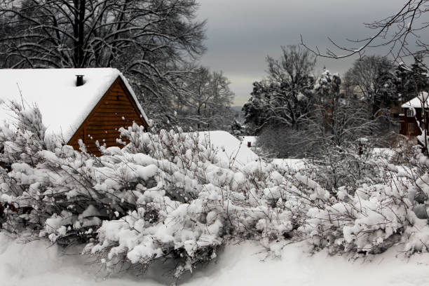 istock Winter in Oslo at dusk. 173869804