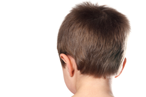 Back of a little boy's head